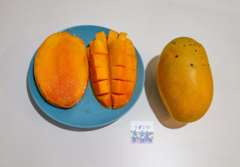 Summer Snow (Xiaxue) Mango (夏雪芒果, Xià xuě máng guǒ)