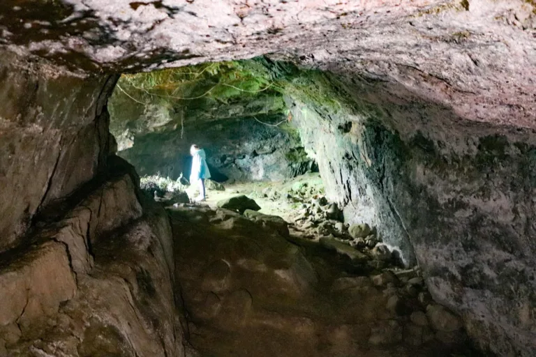 Ruifang Bat Cave 瑞芳蝙蝠洞: Formerly the Largest Bat Cave in East Asia