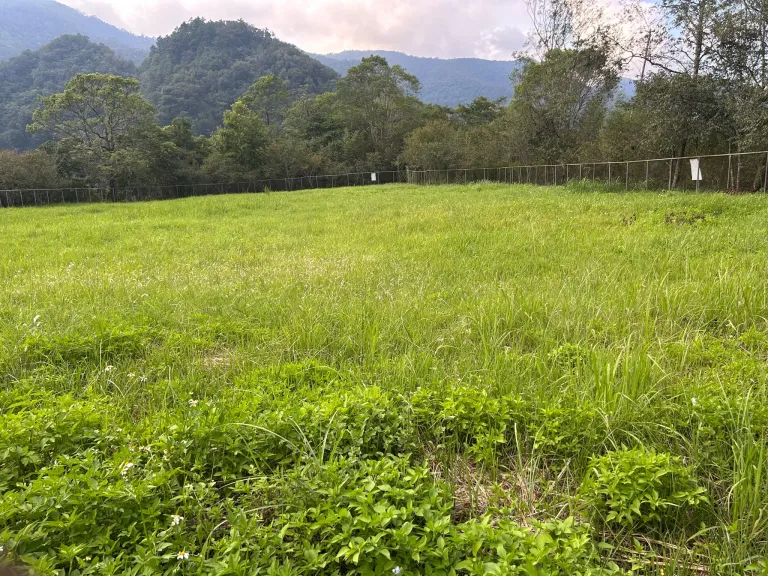 Chuping Archaeological Site 曲冰考古遺址