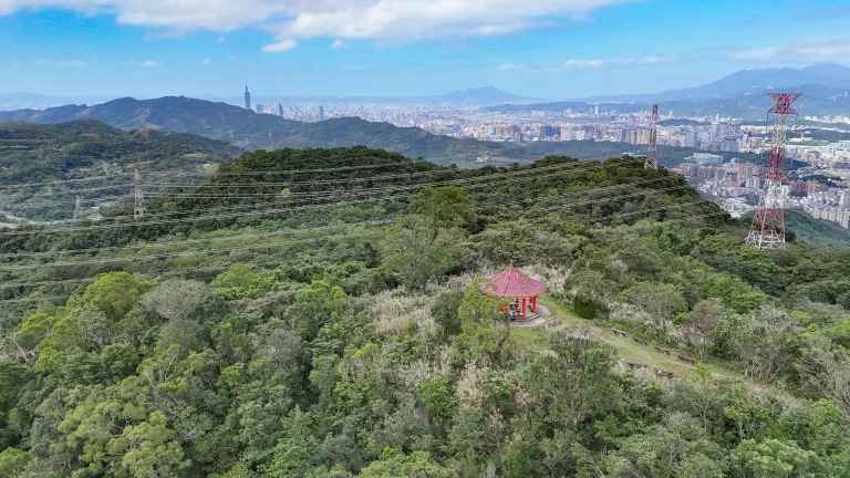 Red-roofed gazebo on a grassy hill overlooking a dense forest with a distant city skyline and power lines in the foreground.
